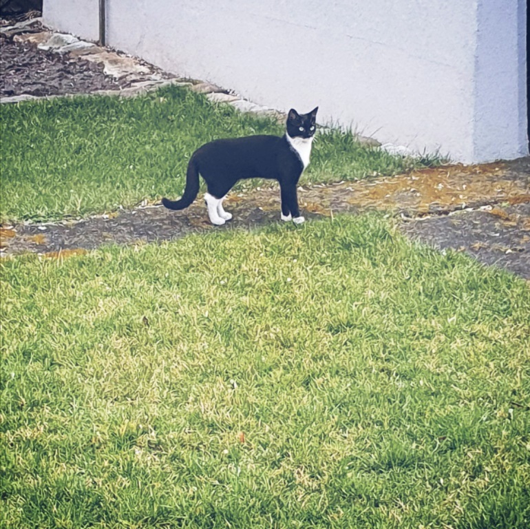 Anna Olejniczak klasa 7a_Moja Codzienność.jpg